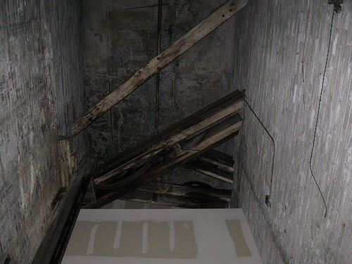  Wood Guides 